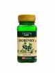 Borůvkový extrakt 40 mg 90 kapslí