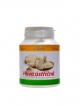 Hlíva ústřičná 260 mg 100 tablet