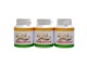 Hlíva ústřičná 260 mg 3 x 100 kapslí