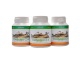 Cordyceps CS-4 3 x 100 tablet