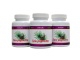 Saw Palmetto 320 mg 3 x 100 kapslí