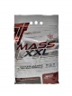 Mass XXL 4800 g DOPRODEJ