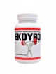 Ekdybol 100 kapslí BCAA + Ecdysteron