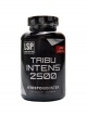 Tribu Intens tribulus 90 tablet