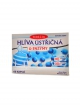 Pleuroenzym 60 kapslí