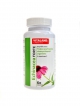 Echinacea forte 60 kapsl exp 1.2024