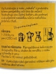 klikn�te pro zv�t�en�