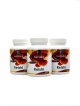 Reishi 30% polysacharidů 300 kapslí