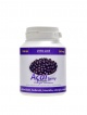 Acai Berry 100 kapslí 330 mg