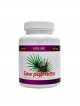 Saw Palmetto 320 mg 100 kapslí