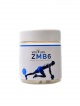 ZMB6 zinek magnesium B6 100 kapslí