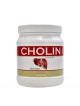 Cholin 500 kapslí
