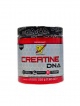 Creatine DNA 216 g