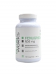 Fenugreek 500 mg 100 kapslí