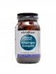 Maxi potency adaptogen complex 90 kapslí