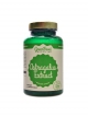 Astragalus extract 90 kapslí