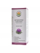 Ostropestřec mariánský DS sirup 180 ml Silybum marianum