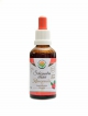Schizandra čínská - klanopraška AF tinktura 50ml Schisandra chinensis