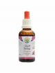 Kozlík lékařský - baldrián AF tinktura 50ml Valeriana officinalis