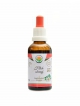 Hloh obecný AF tinktura 50 ml Crataegus laevigata