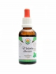 Meduňka lékařská AF tinktura 50 ml Melissa officinalis