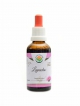 Lapacho AF tinktura 50ml Tabebuia impetiginosa