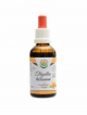 Třezalka tečkovaná AF tinktura 50ml Hypericum perforatum