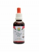 Dračí krev kapky 50ml Sangre de Drago Croton lechleri