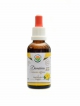 Damiána - Turnera diffusa AF tinktura 50ml