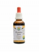 Rozchodnice růžová - Rhodiola AF tinktura 50ml