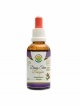 Dangšen AF tinktura 50ml Codonopsis pilosula