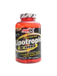 Lipotropic fat burner 200 kapsl