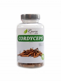 Cordyceps 90 kapsl