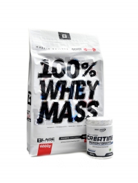BS Blade 100% Whey Mass gainer 6kg + Creatine monohydrate 500g