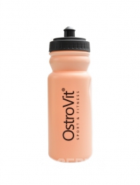 Water bottle lhev 600 ml