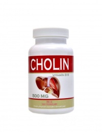 Cholin 100 kapsl