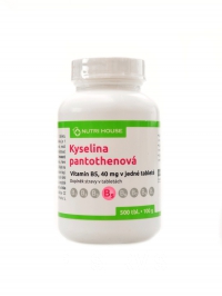 Vitamn B5 kyselina pantothenov 500 tablet