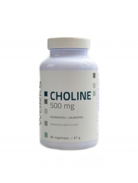 Choline 500mg 90 kapsl