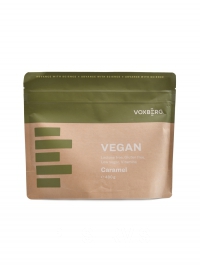 Vegan Protein 480g