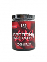 Creatine monohydrate 100% 500 g micro mash 200