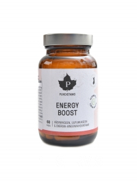 Energy Boost 60 kapslí