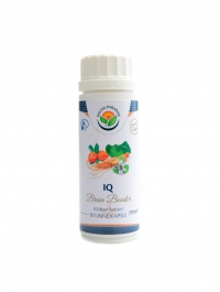 IQ Brain booster 100 kapsl