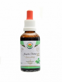 Jiaogulan Thailand AF tinktura enen ptilist 50ml Gynostemma pentaphyllum