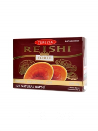 Reishi Forte 120 kapsl