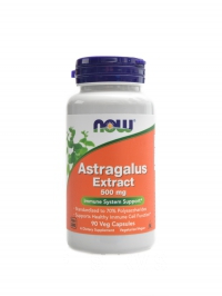 Astragalus xtrakt kozinec 500mg 90 kapsl